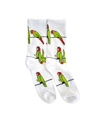 THE BARBARY COAST SOCKS